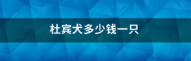 杜宾犬多少钱一只 杜宾犬幼犬多少钱一只正宗