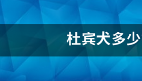 杜宾犬多少钱一只 杜宾犬幼犬多少钱一只正宗