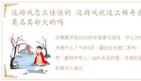 这游戏怎么怪怪的 这游戏就这么稀奇古怪莫名其妙火的吗