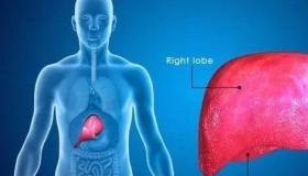如何保肝护肝,养肝护肝的方法？ 养肝护肝的方法和食物有哪些