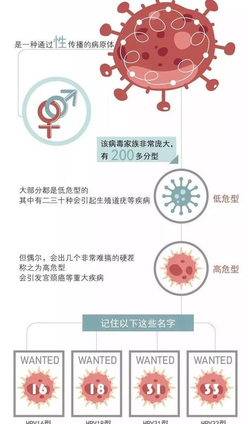 人乳头瘤病毒HPV是什么意思？ hpv是什么