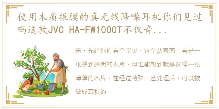 使用木质振膜的真无线降噪耳机你们见过吗这款JVC HA-FW1000T不仅音质出色,而且还使用了多项黑科技哦