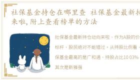 社保基金持仓在哪里查 社保基金最新持仓来啦,附上查看榜单的方法