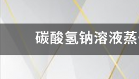 网络用语碳酸氢钠是什么意思？ 碳酸氢钠是干什么用的