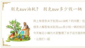 别克suv油耗？ 别克suv多少钱一辆