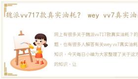 魏派vv717款真实油耗？ wey vv7真实油耗