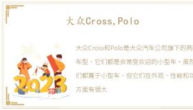 大众Cross,Polo