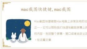 mac截图快捷键,mac截图