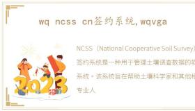 wq ncss cn签约系统,wqvga