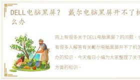 DELL电脑黑屏？ 戴尔电脑黑屏开不了机怎么办