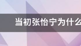 张怡宁银牌输给谁？ 张怡宁输过几次