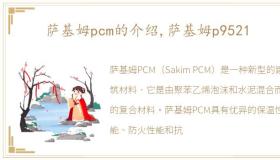 萨基姆pcm的介绍,萨基姆p9521