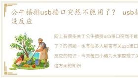 公牛插排usb接口突然不能用了？ usb接口没反应