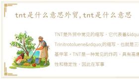 tnt是什么意思外贸,tnt是什么意思