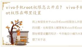 vivo手机root权限怎么开启？ vivo手机root权限在哪里设置