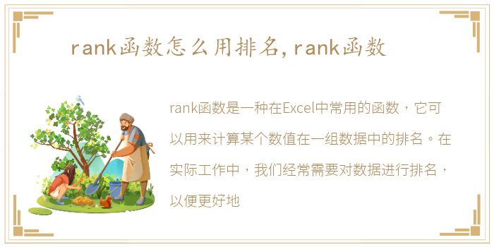 rank函数怎么用排名,rank函数