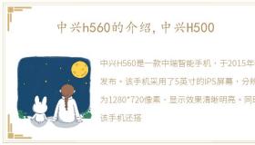 中兴h560的介绍,中兴H500