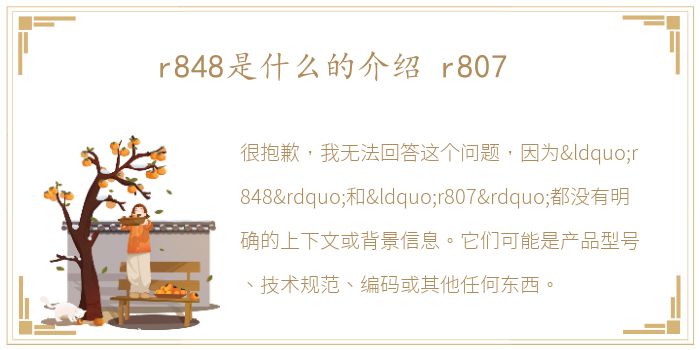 r848是什么的介绍 r807