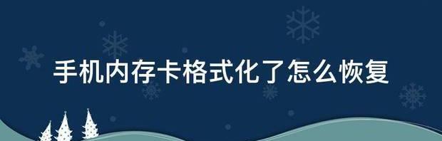 oppo手机格式化后怎么恢复？ 手机内存卡格式化了怎么恢复