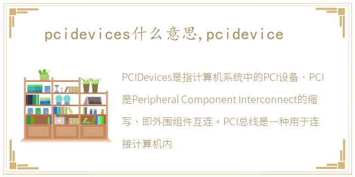 pcidevices什么意思,pcidevice