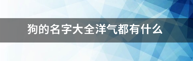 给狗狗起个名字，要霸气V5的？ 小狗起名字大全洋气的