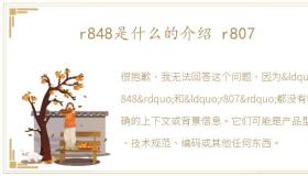 r848是什么的介绍 r807