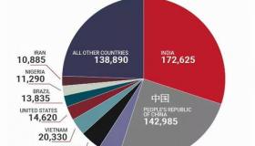 加拿大留学生申请枫叶卡需要什么资料 加拿大留学生拿枫叶卡