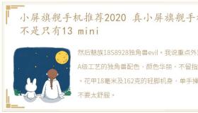 小屏旗舰手机推荐2020 真小屏旗舰手机,不是只有13 mini