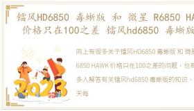 镭风HD6850 毒蜥版 和 微星 R6850 HAWK 价格只在100之差 镭风hd6850 毒蜥版