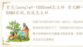 索尼(sony)wf-1000xm4怎么样 索尼WF-1000XM4实测,到底怎么样