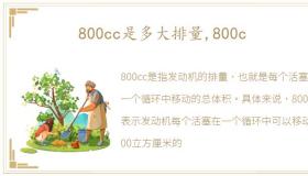 800cc是多大排量,800c