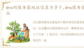 dns的服务器地址设置为多少,dns服务器地址