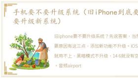 手机要不要升级系统（旧iPhone到底要不要升级新系统）