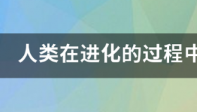 狗狗多大能憋住便便？ 狗狗为啥可以憋住大小便