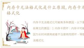 内存卡无法格式化是什么原因,内存卡无法格式化