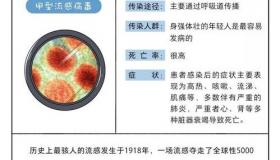 禽流感是什么病毒 禽流感病毒