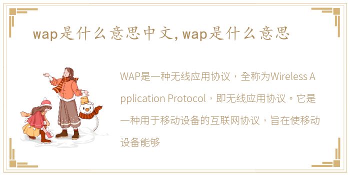 wap是什么意思中文,wap是什么意思