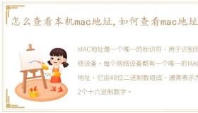 怎么查看本机mac地址,如何查看mac地址