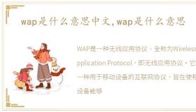 wap是什么意思中文,wap是什么意思