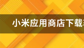 小米应用商店下载软件无法安装 小米应用商店安装下载