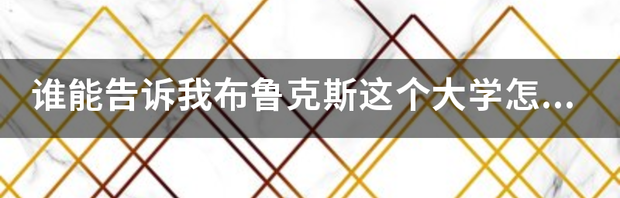 美国布鲁克斯大学是野鸡大学吗 美国布鲁克斯大学是否正规