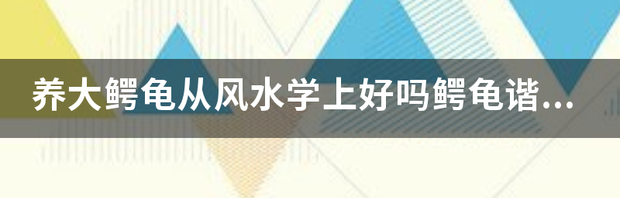 我家里有一只鳄鱼龟，怎么养啊？ 风水上为什么不能随便养鳄龟