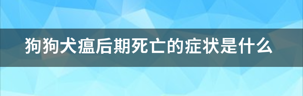 狗瘟病發之前會有什麼症狀？ 狗狗得犬瘟什么症状