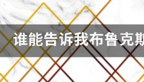 美国布鲁克斯大学是野鸡大学吗 美国布鲁克斯大学是否正规