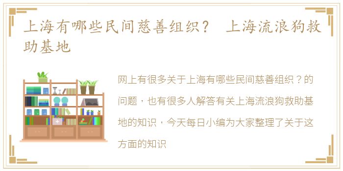 上海有哪些民间慈善组织？ 上海流浪狗救助基地