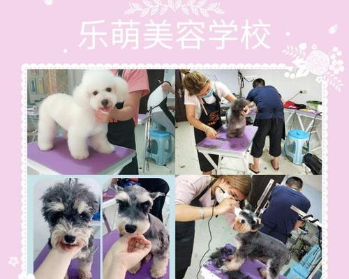 训犬学校排行榜前十名？ 宠物美容师培训学校哪个好