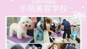 训犬学校排行榜前十名？ 宠物美容师培训学校哪个好