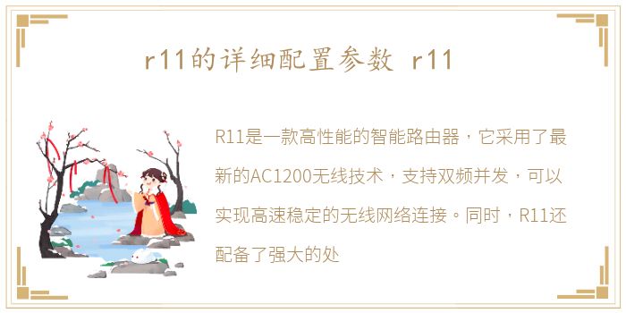 r11的详细配置参数 r11