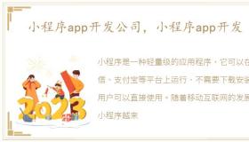 小程序app开发公司，小程序app开发