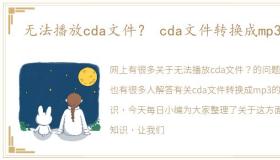 无法播放cda文件？ cda文件转换成mp3